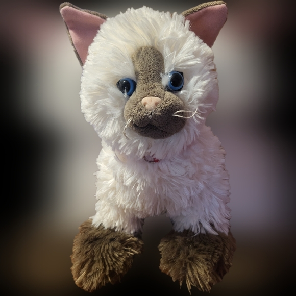 Build-A-Bear Other - Build-A-Bear cat